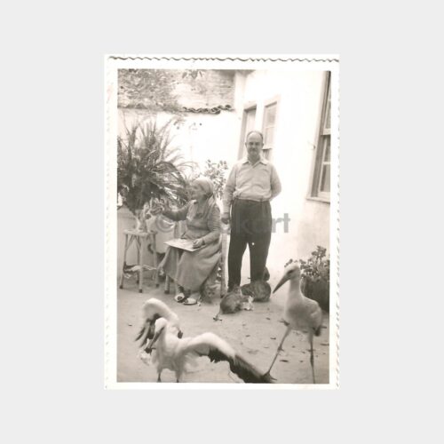 1966 Nazilli Aile Görünüş 2 Adet Fotoğraf